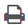 print icon